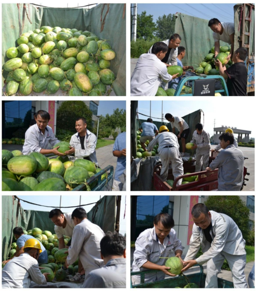 1710487347334.png 1710487347334.png